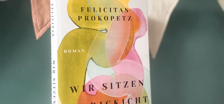 „Wir sitzen im Dickicht und weinen“ von Felicitas Prokopetz, erschienen am 26. Januar 2024 bei Eichborn, Hardcover mit 208 Seiten