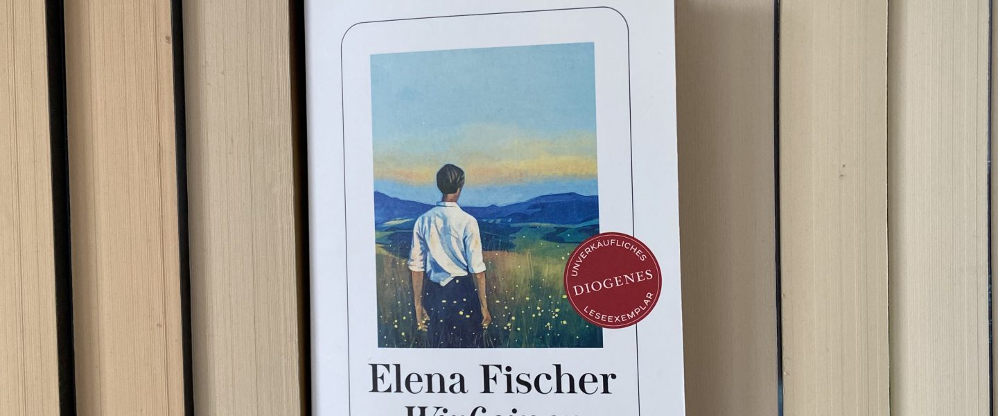 „Wirf einen Schatten“ von Elena Fischer, erscheint am 22. Juli 2026 bei Diogenes (unbezahlte Werbung, Rezensionsexemplar von „Vorablesen“)