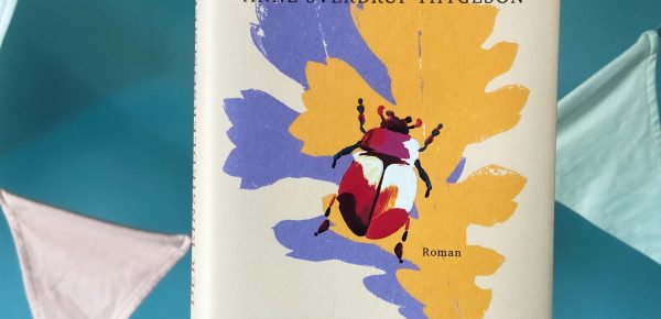 „Der Einsiedlersommer“ von Anne Sverdrup-Thygeson, aus dem Norwegischen von Franziska Hüther, Nora Pröfrock und Ricarda Essrich, erschienen bei dtv (unbezahlte Werbung, Rezensionsexemplar)