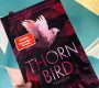 „Thornbird“ von Elle Kennedy, übersetzt von Sabine Schilasky, erschienen bei Goldmann (unbezahlte Werbung, Rezensionsexemplar)
